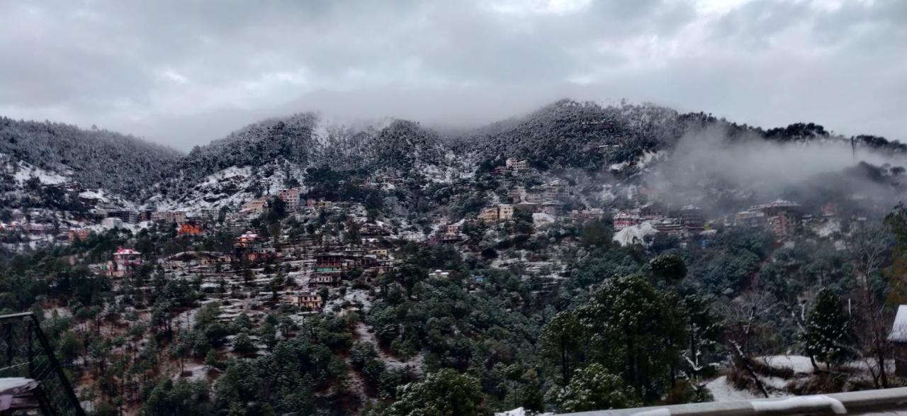 2Bhk Furnished Apartment/Near Kasauli/Barog/Luv Fun & Adventure سولان المظهر الخارجي الصورة