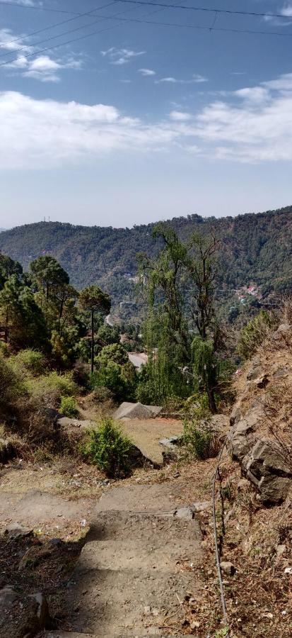 2Bhk Furnished Apartment/Near Kasauli/Barog/Luv Fun & Adventure سولان المظهر الخارجي الصورة