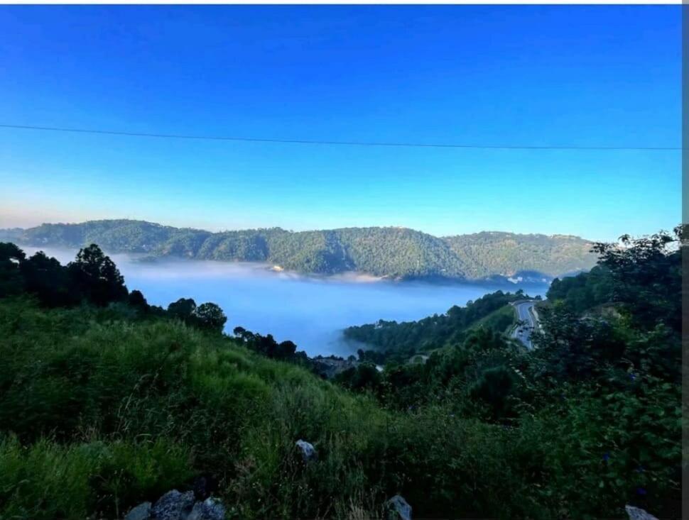 2Bhk Furnished Apartment/Near Kasauli/Barog/Luv Fun & Adventure سولان المظهر الخارجي الصورة