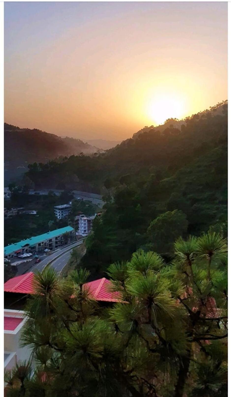 2Bhk Furnished Apartment/Near Kasauli/Barog/Luv Fun & Adventure سولان المظهر الخارجي الصورة