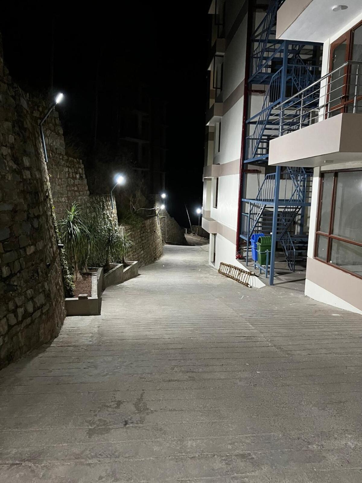 2Bhk Furnished Apartment/Near Kasauli/Barog/Luv Fun & Adventure سولان المظهر الخارجي الصورة