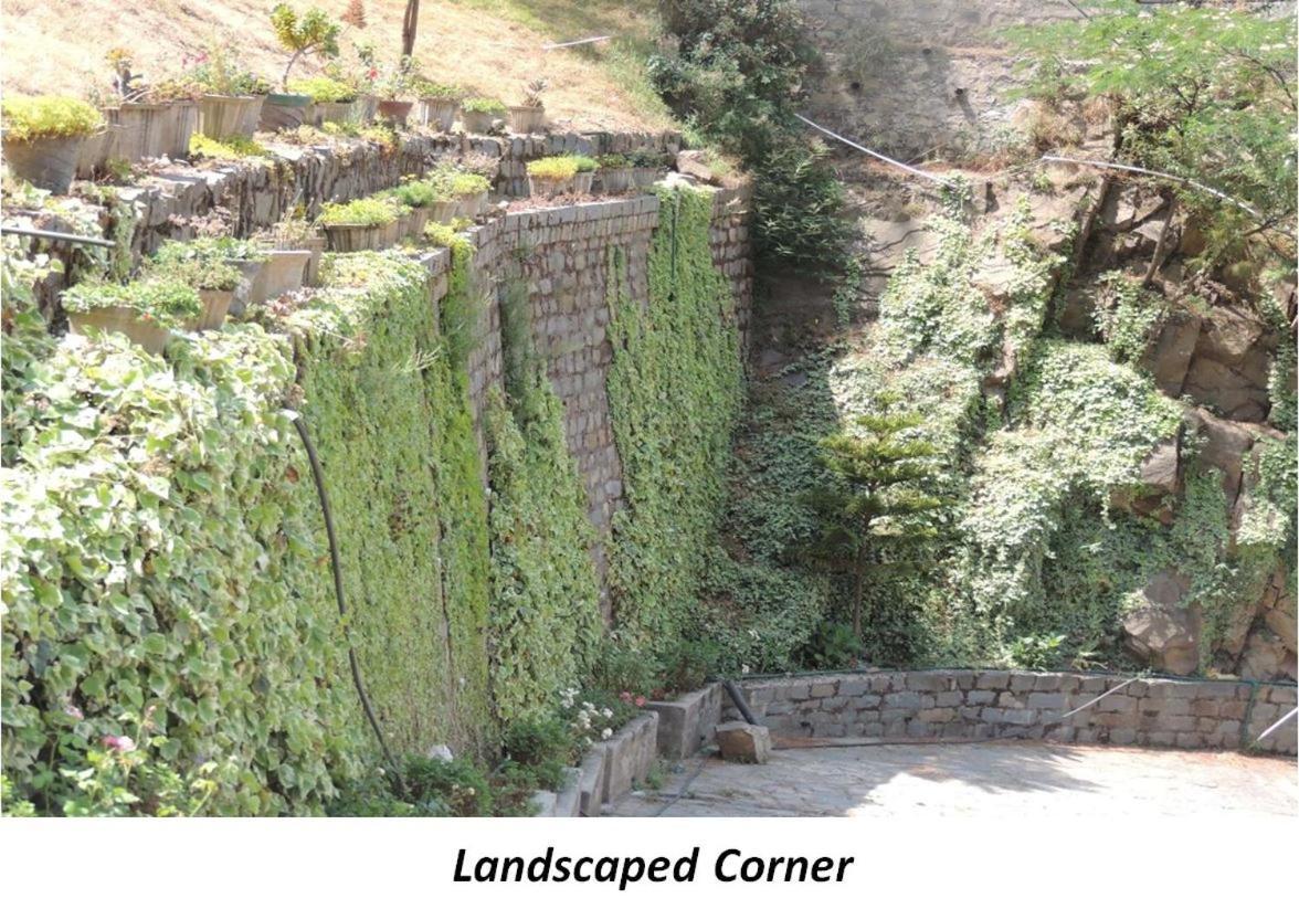2Bhk Furnished Apartment/Near Kasauli/Barog/Luv Fun & Adventure سولان المظهر الخارجي الصورة